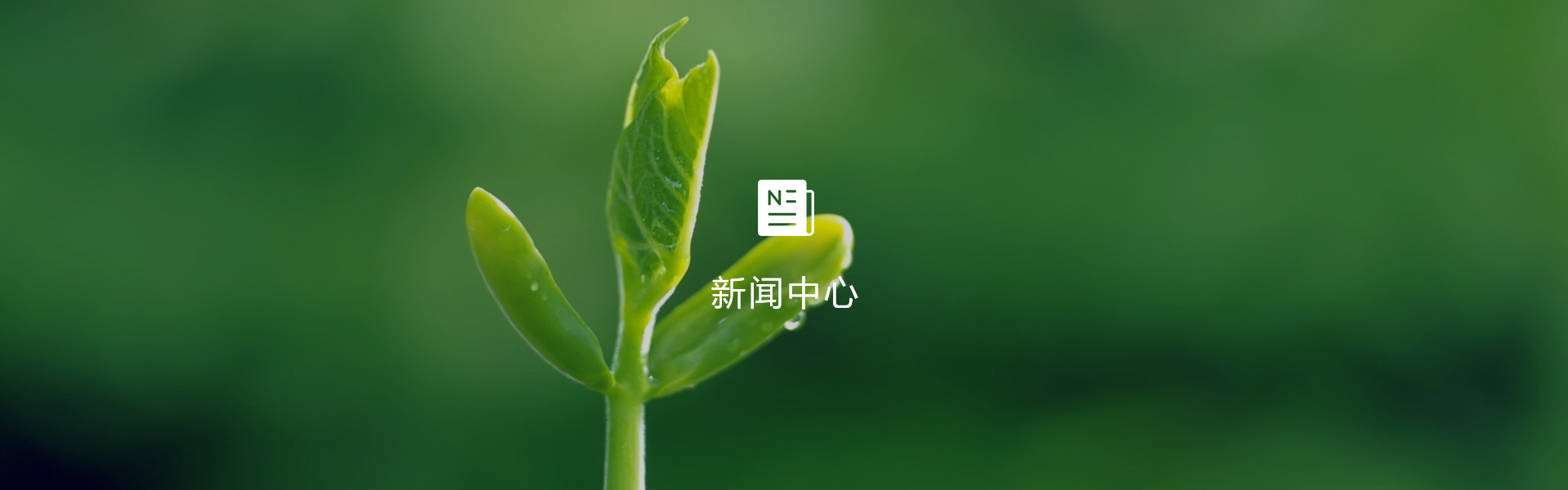 新聞中心-浙江中地凈土科技有限公司