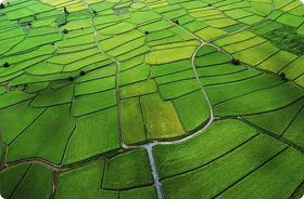 農(nóng)業(yè)用地項(xiàng)目案例-浙江中地凈土科技有限公司