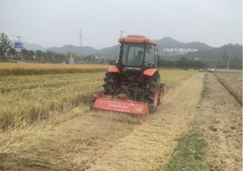 -浙江中地凈土科技有限公司