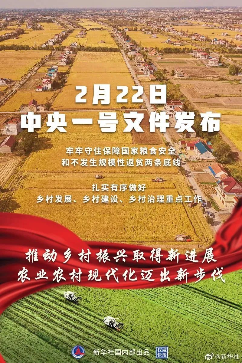 重磅！2022年中央一號文件發(fā)布！解讀來了-浙江中地凈土科技有限公司