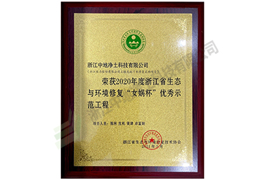 2020年度“女媧杯”優(yōu)秀示范工程證書-浙江中地凈土科技有限公司